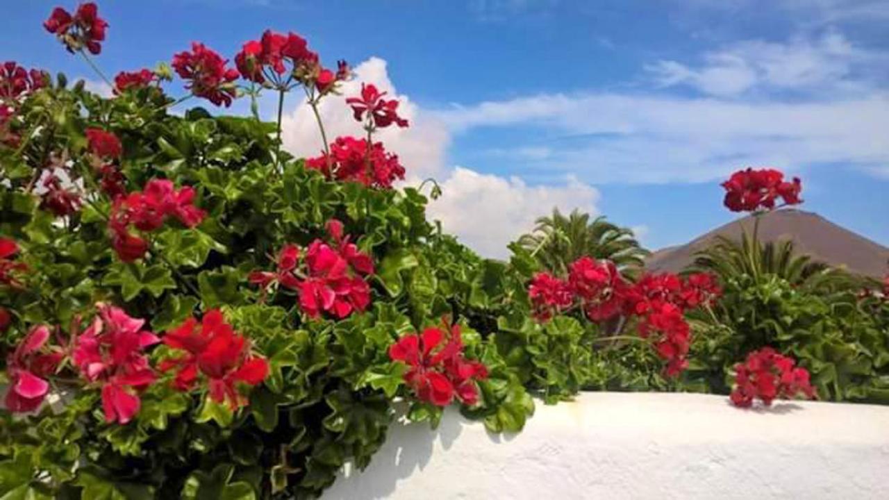 Вілла Cozy House In El Golfo + Terrace Екстер'єр фото